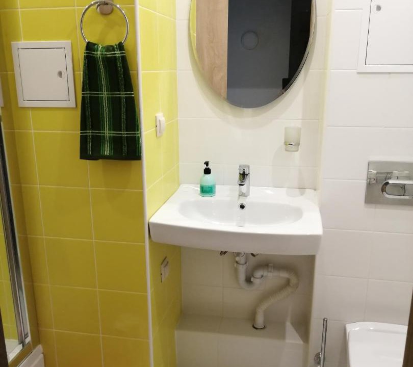 Photo of Bathroom in Krasnogorsky District