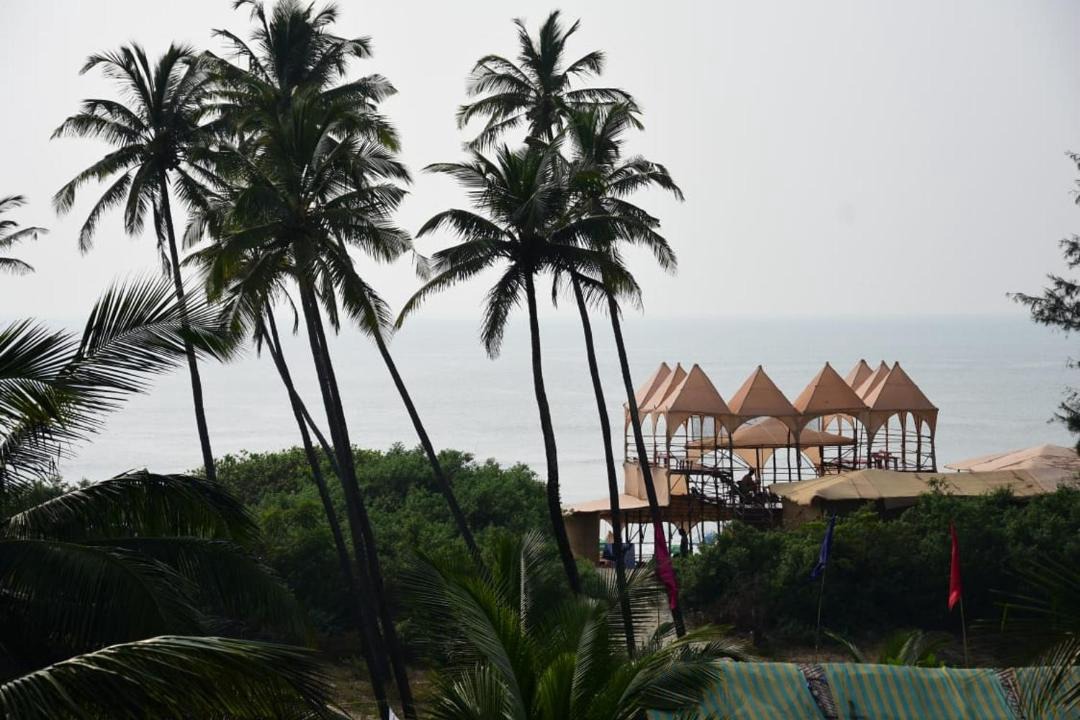 Photo of Outdoor in Mandrem