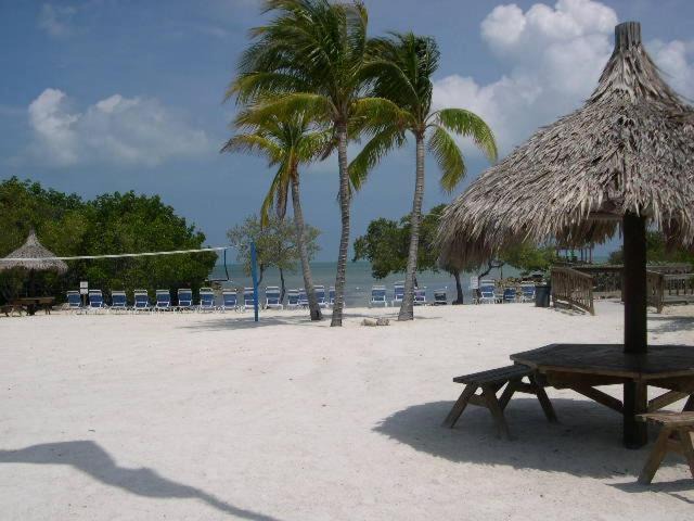 Photo of Outdoor in Tavernier