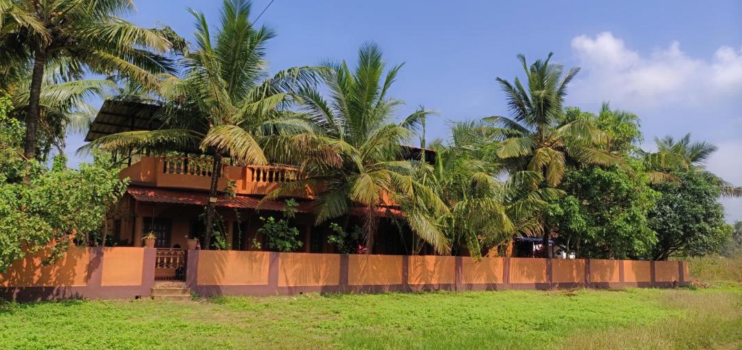 Photo of Others in Anjuna