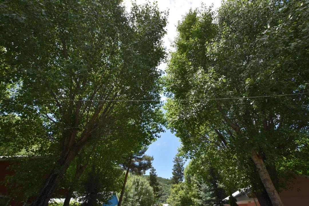 Photo of Outdoor in Jermuk