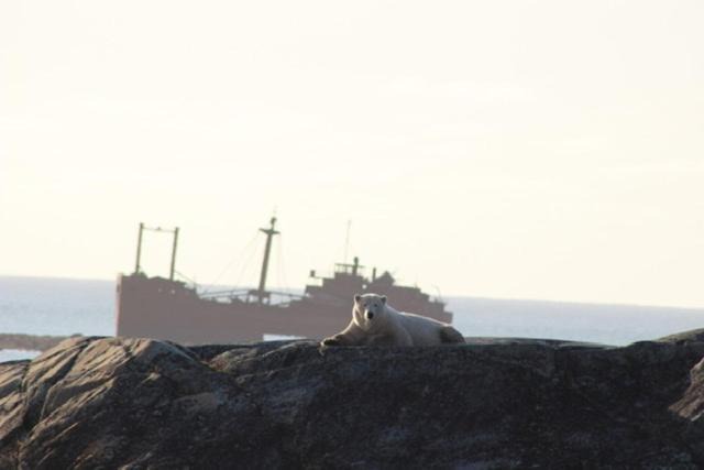 Photo of Others in Churchill