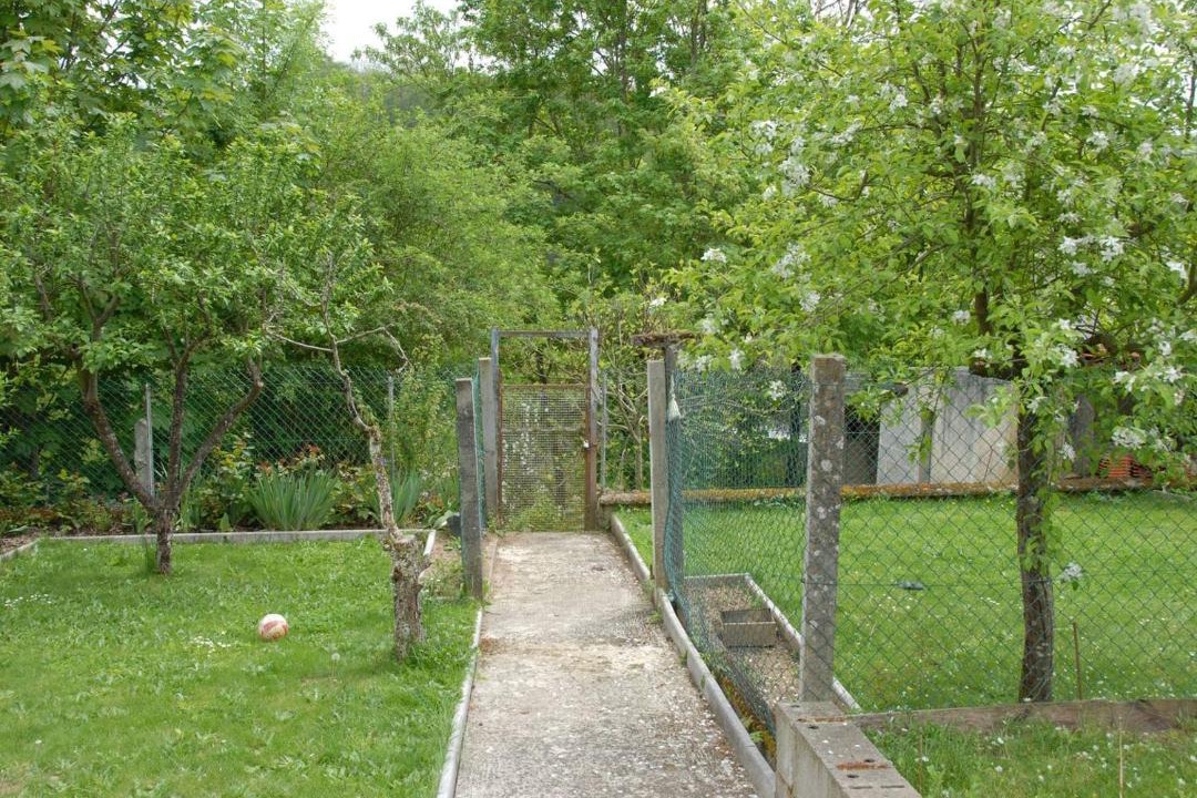 Photo of Others in Limoges