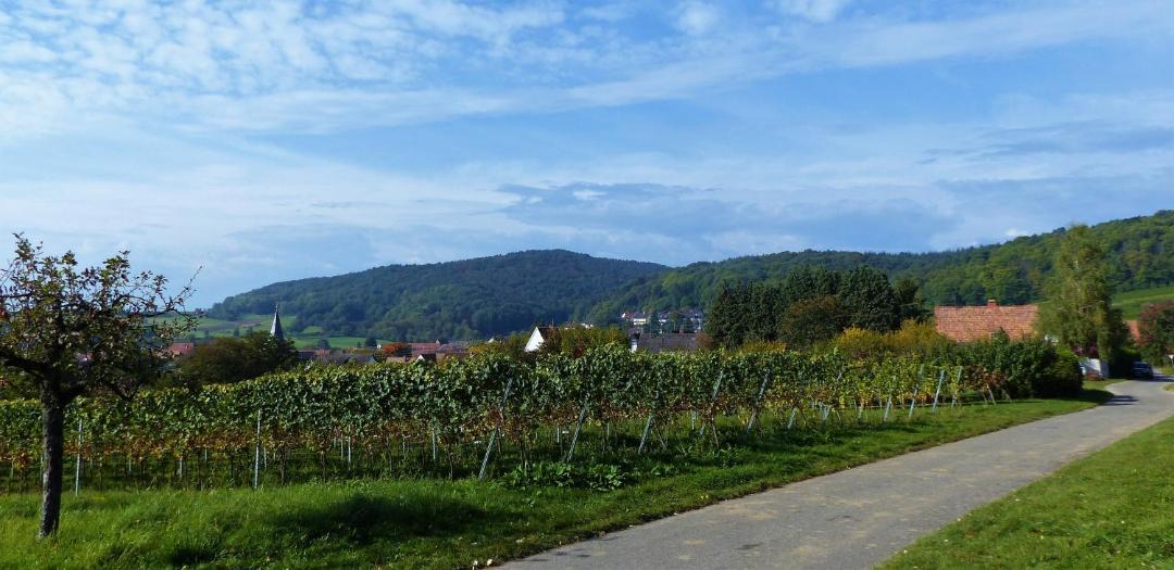Photo of Others in Oberotterbach