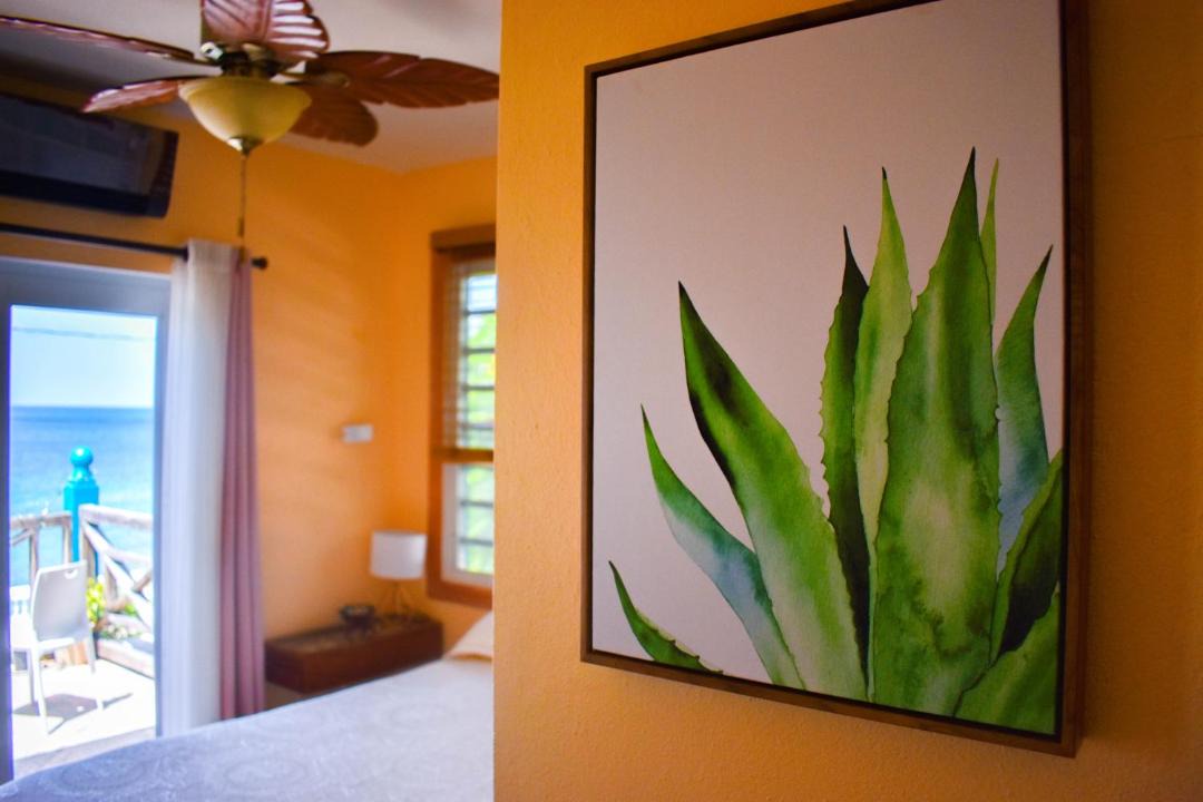 Photo of Bedroom in Esperanza