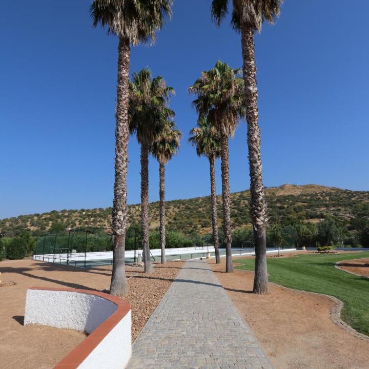 Photo of Others in Elvas