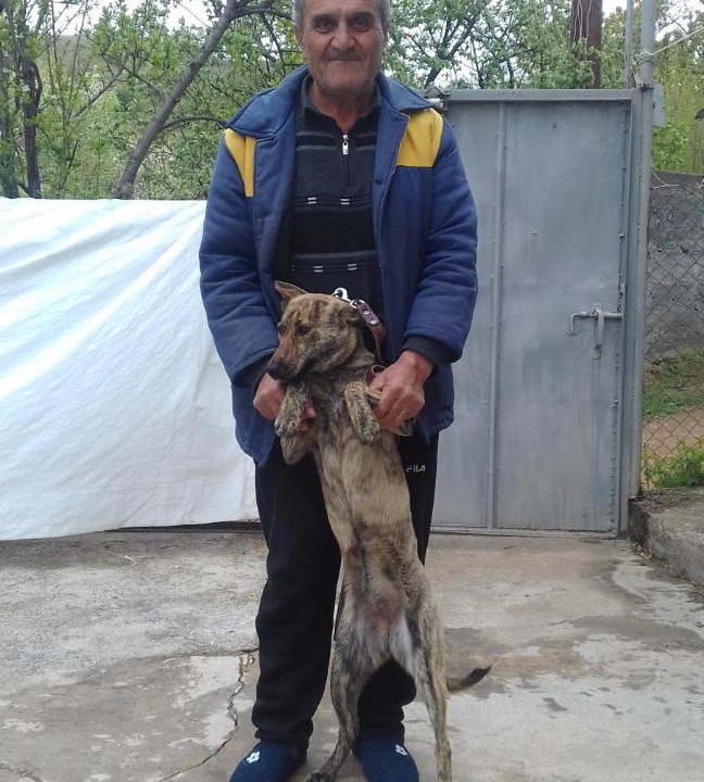 Photo of Others in Yeghegnadzor