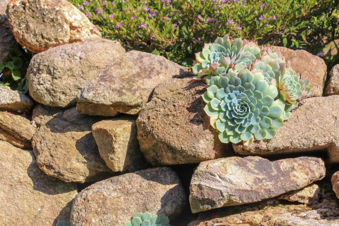 Photo of Outdoor in Paraisopolis