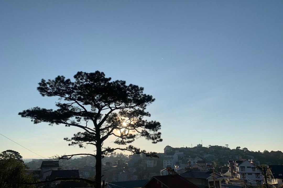 Photo of Others in Da Lat