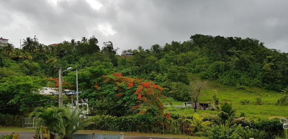 Photo of Outdoor in Sainte-Anne