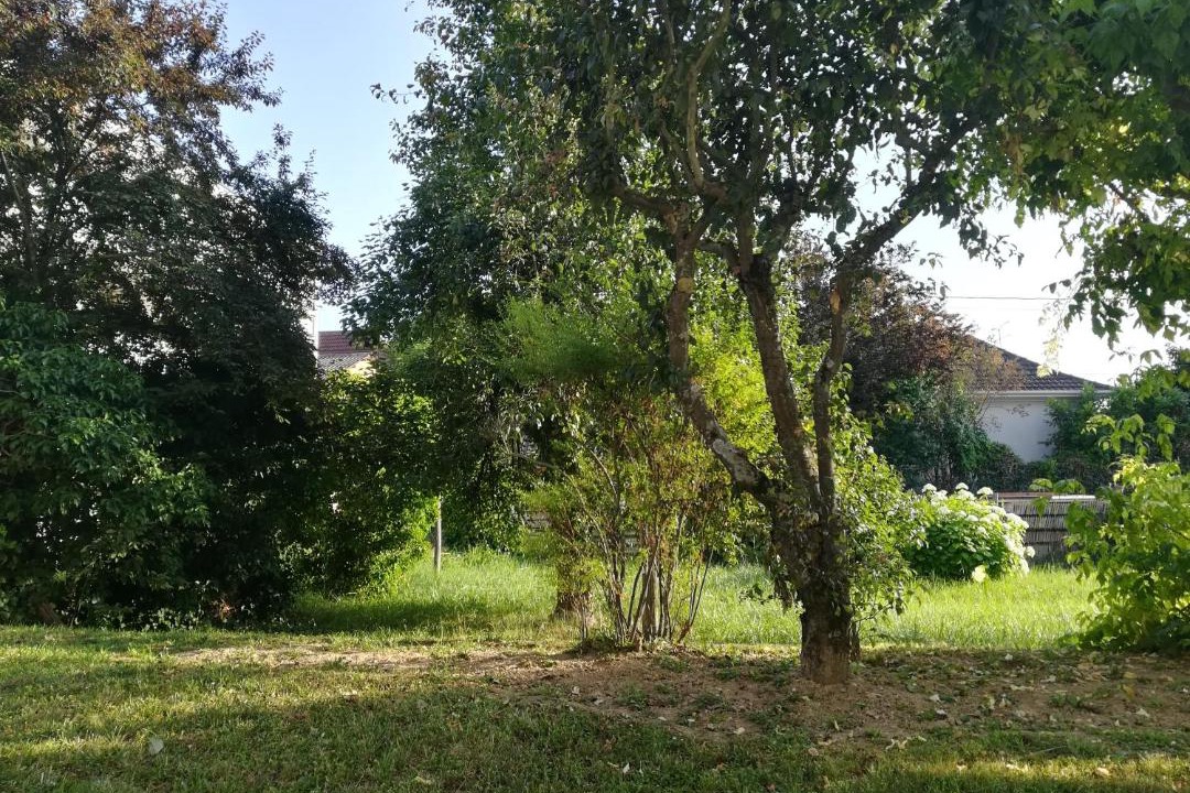 Photo of Outdoor in Brunstatt-Didenheim