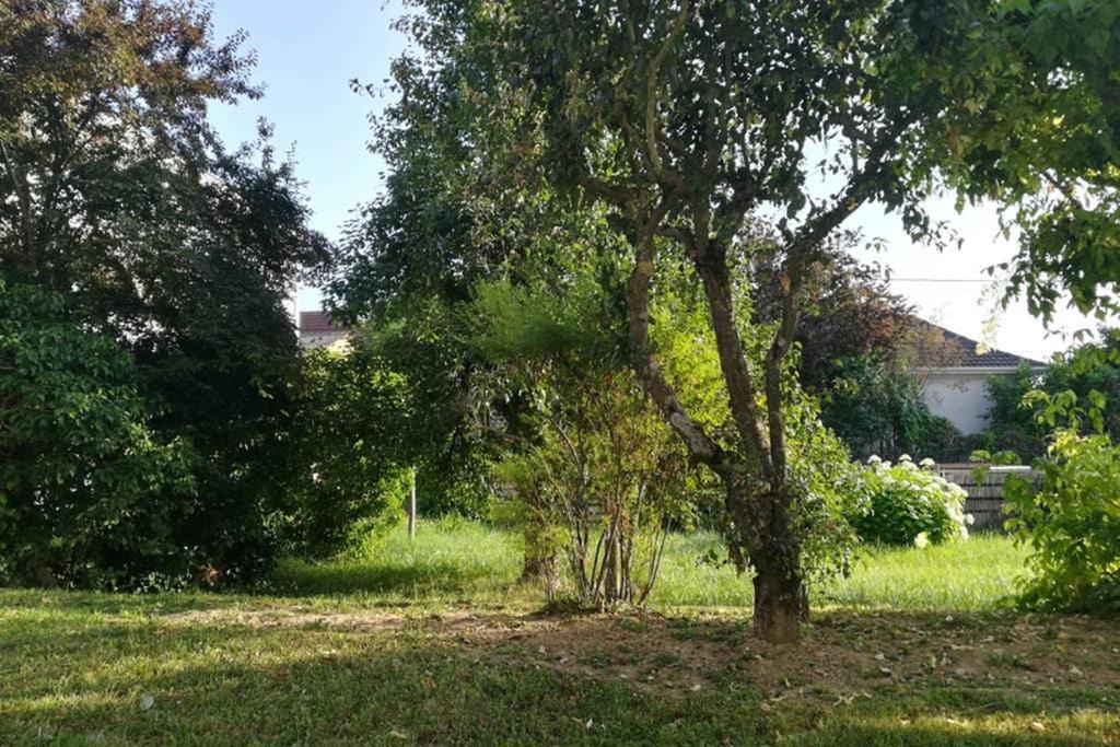 Photo of Outdoor in Brunstatt-Didenheim