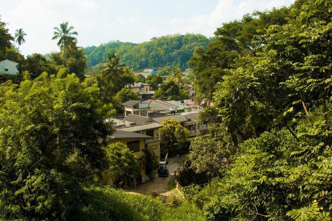 Photo of Outdoor in Kandy
