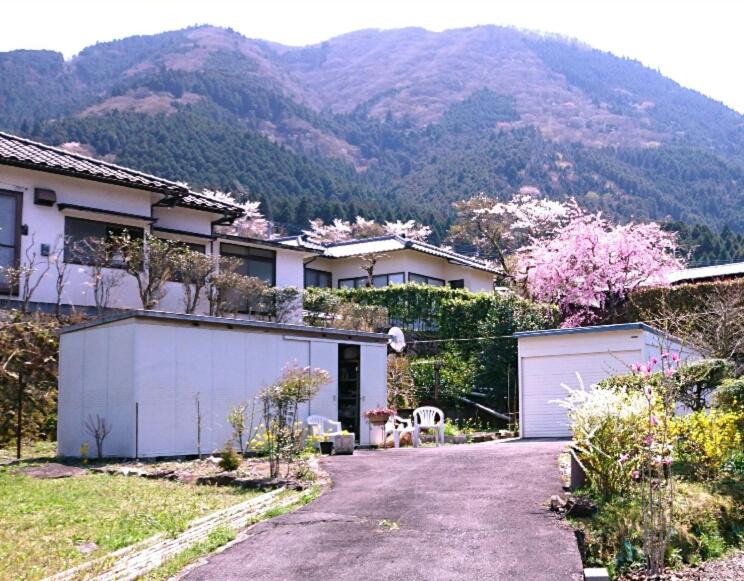 Photo of Buildings in Yufuin Onsen