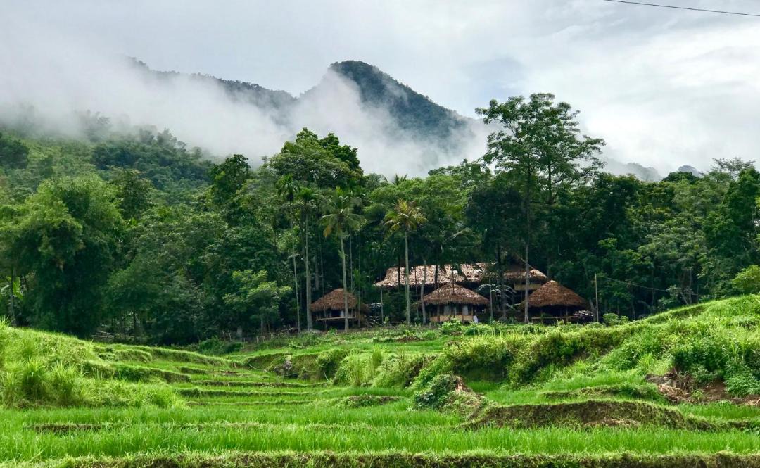 Photo of Others in Pu Long Nature Reserve