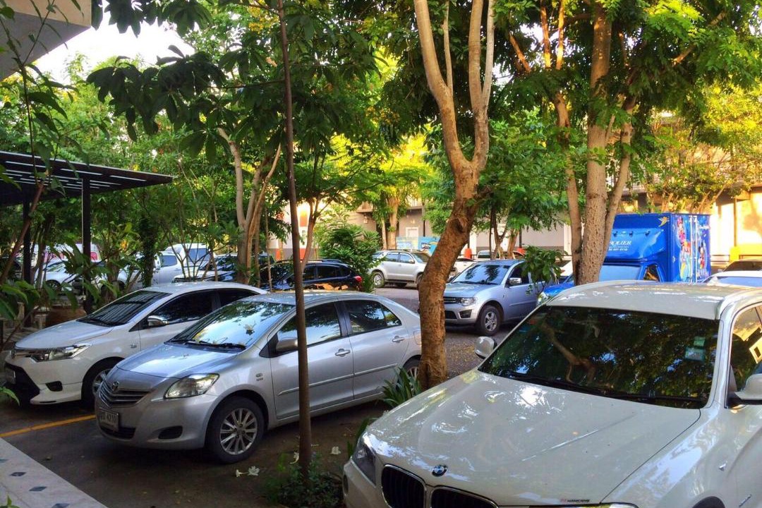 Photo of Others in Saraburi