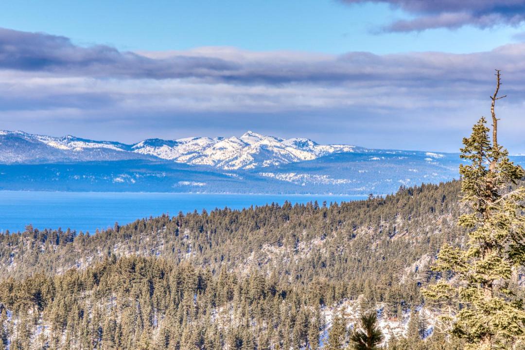 Photo of Others in Tahoe Village