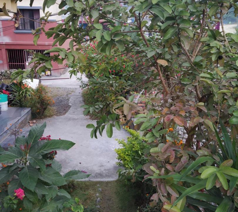 Photo of Outdoor in Pokhara