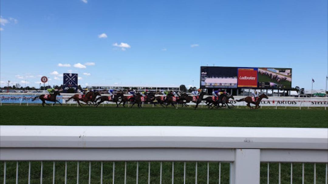 Photo of Others in Caulfield East