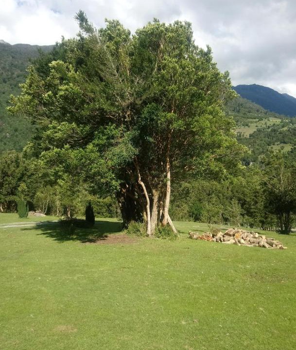 Photo of Others in Los Ladrillos