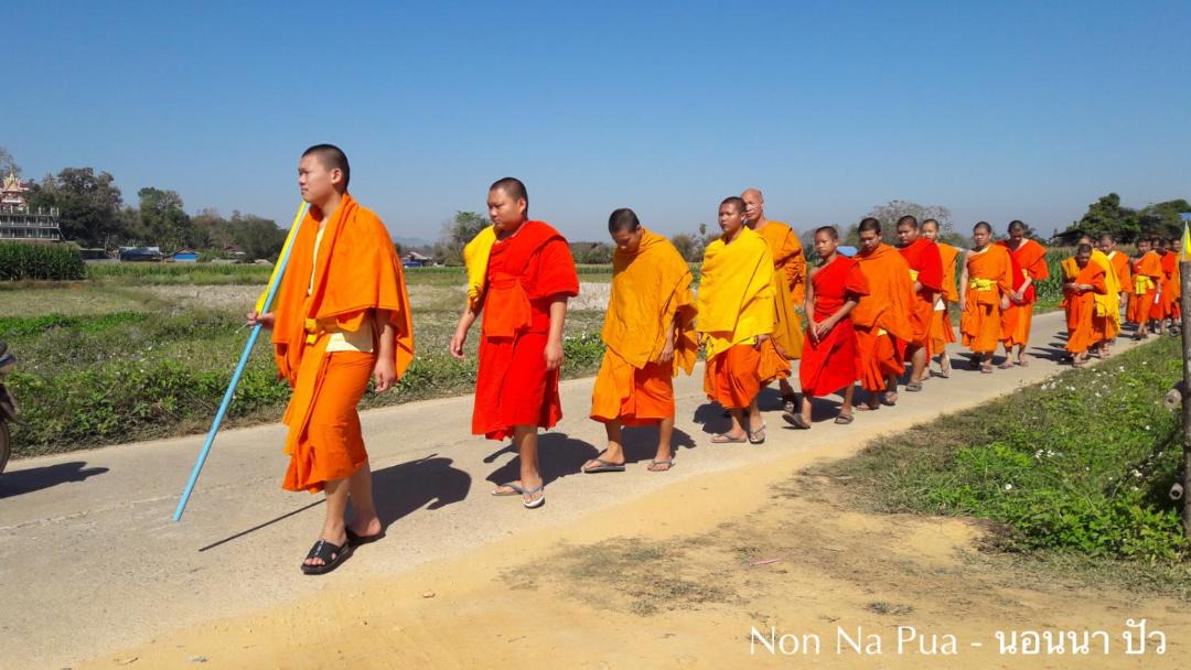 Photo of Others in Pua
