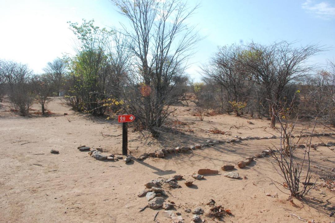 Photo of Others in Kamanjab