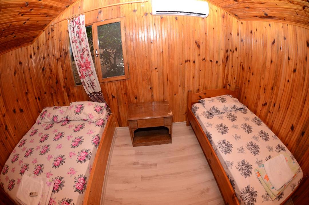 Photo of Others in Olympos