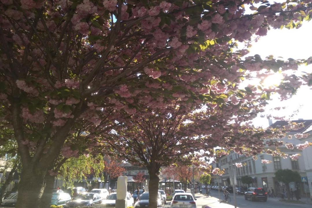 Photo of Outdoor in Gyor
