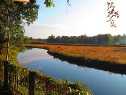 Photo of Outdoor in Barangabari