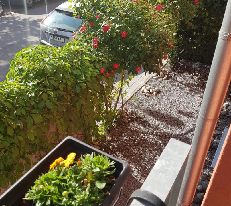 Photo of Others in Weststadt