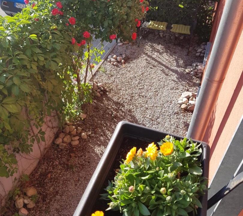 Photo of Others in Weststadt