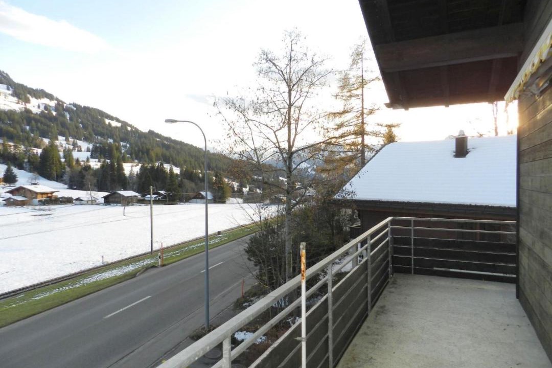 Photo of Patio Balcony in Saanenmoeser