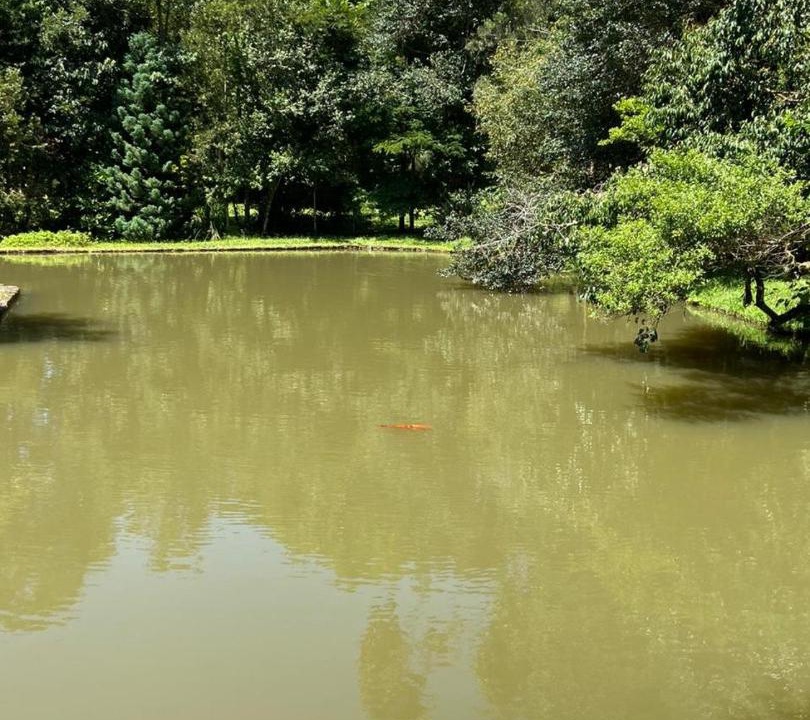 Photo of Outdoor in Camanducaia