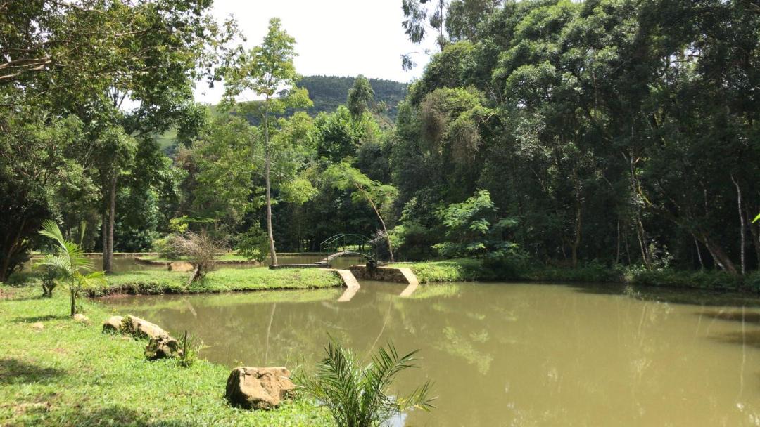 Photo of Outdoor in Camanducaia