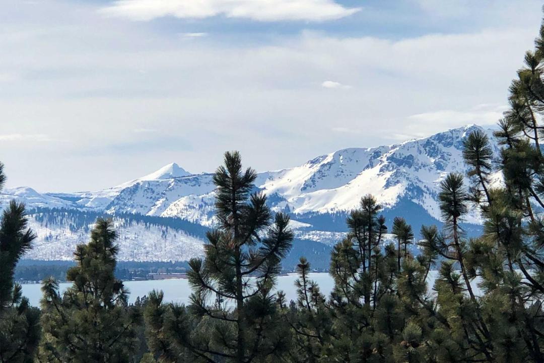 Photo of Others in Zephyr Cove