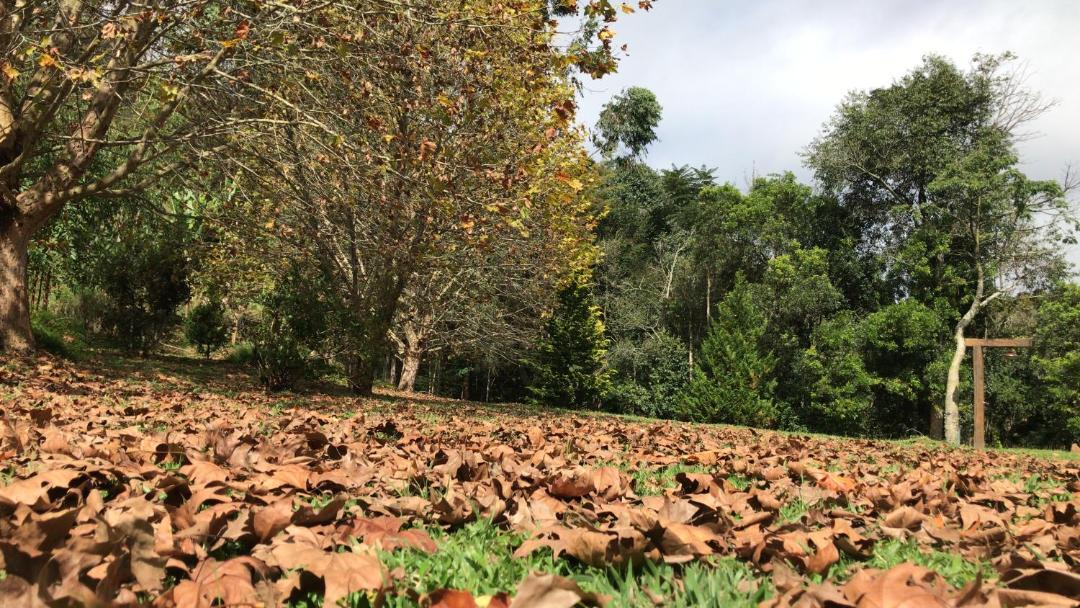 Photo of Outdoor in Camanducaia