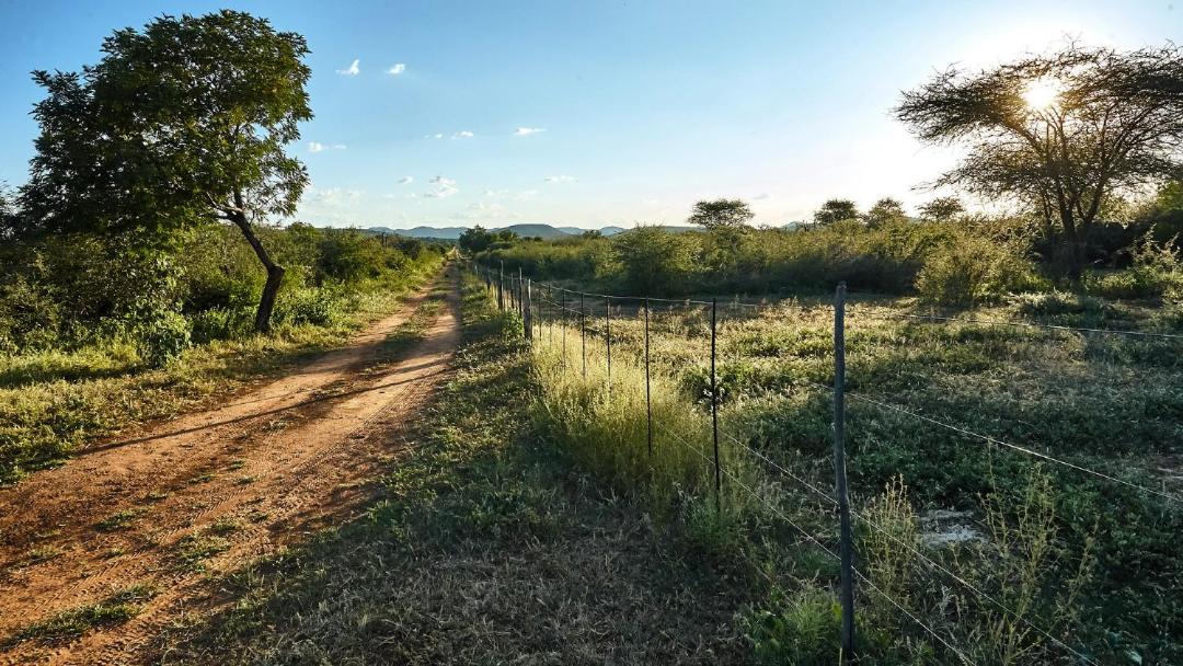 Photo of Others in Tsumeb