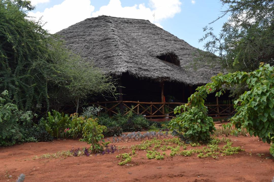 Photo of Buildings in Voi