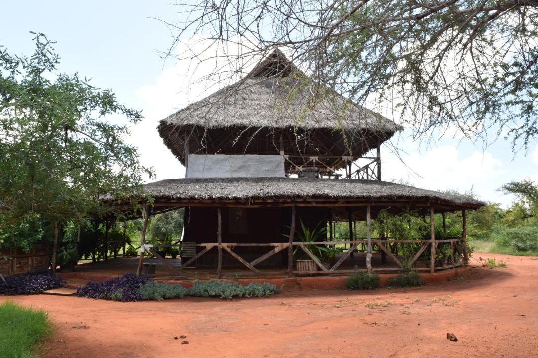 Photo of Buildings in Voi