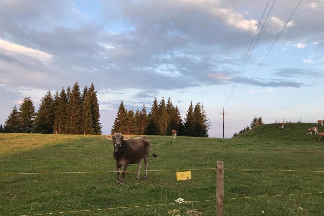 Photo of Others in Voitsberg District
