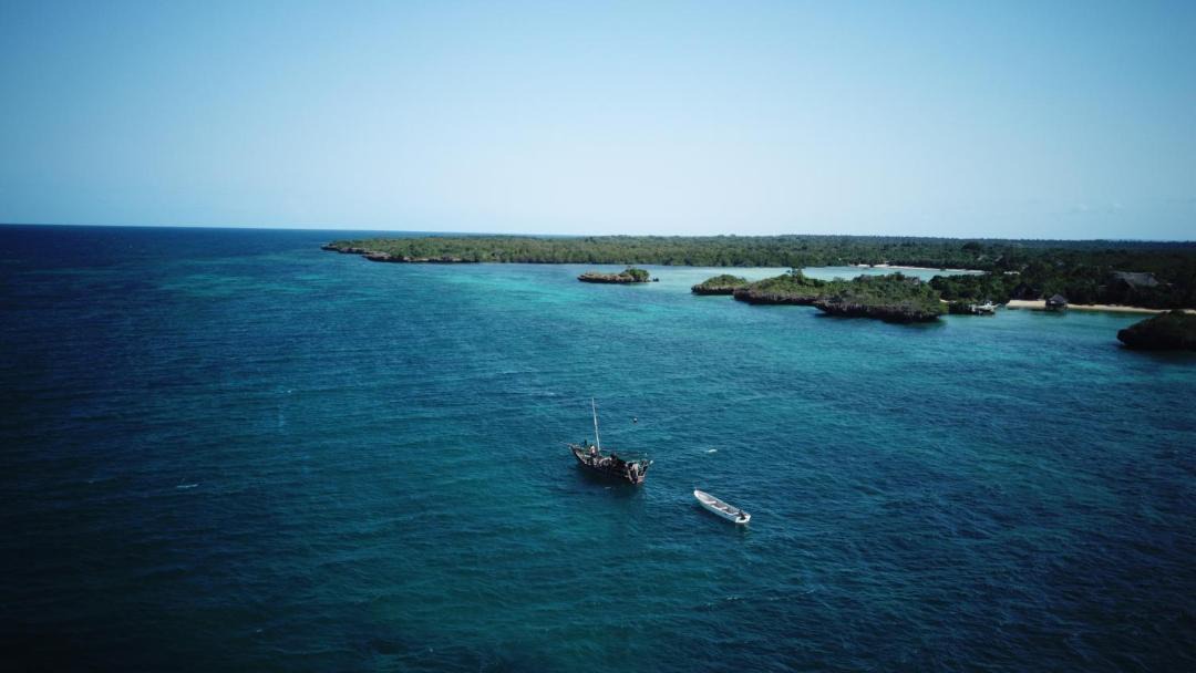 Photo of Others in Tanga
