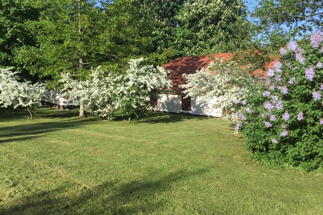 Photo of Outdoor in Viborg