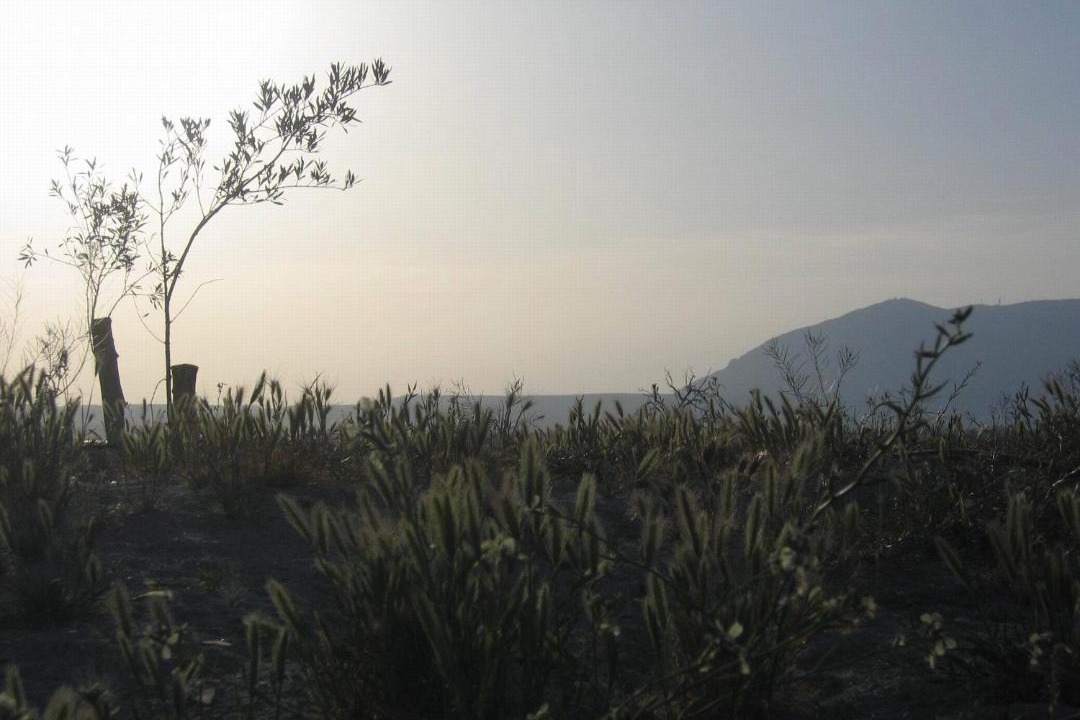 Photo of Others in Baza