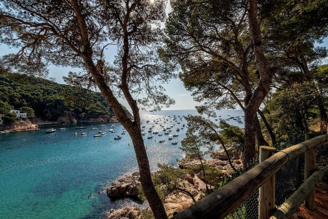 Photo of Outdoor in Tamariu