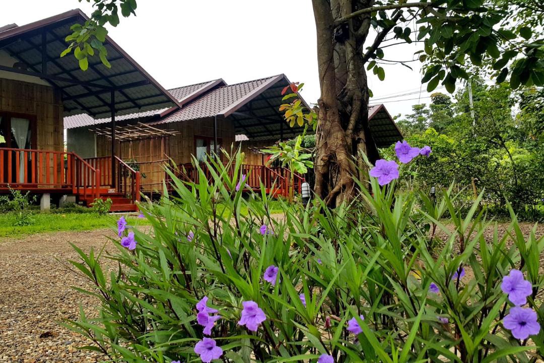 Photo of Others in Chiang Dao