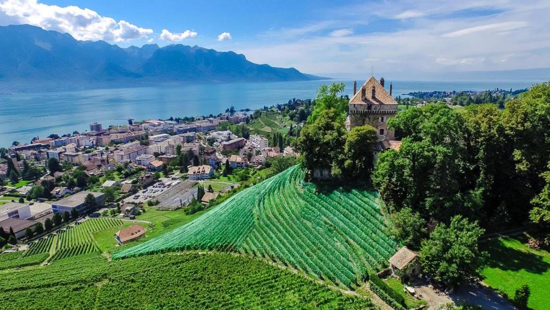 Photo of Others in Montreux