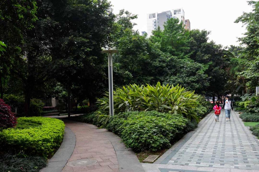 Photo of Others in Chongqing