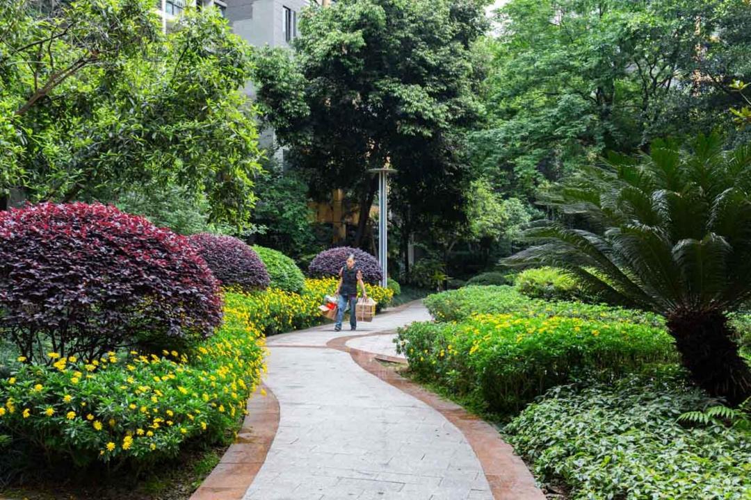 Photo of Others in Chongqing