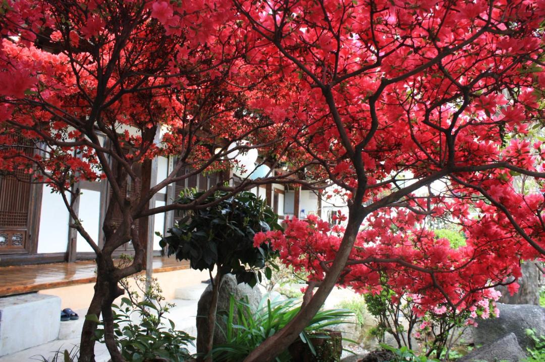 Photo of Others in Jeonju