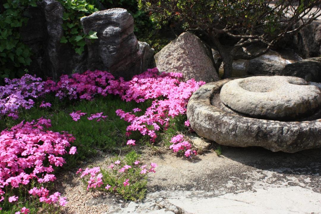 Photo of Others in Jeonju